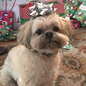 Meet your Posher, Mackenzie